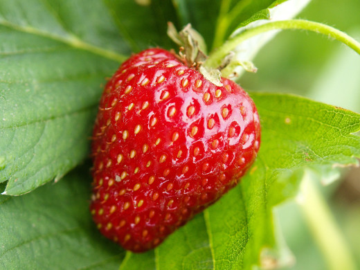 46868 (a): :1600x1200